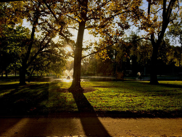 The Evolution of Reinvention