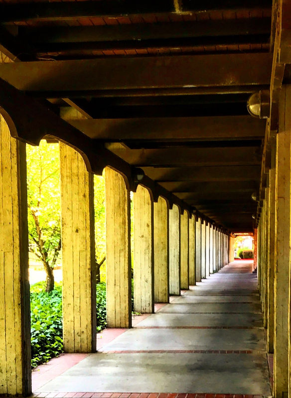 We Are Not All the Same