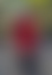 Easing Back On Track