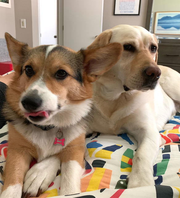 The Richness of Real Life