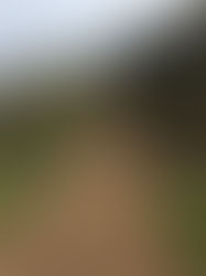 The Work is What Carries Us Forward