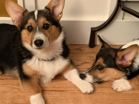 Staying Connected, No Matter What