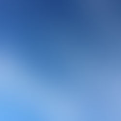 Letting Go and Bouncing Back