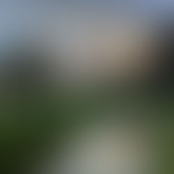 The View from Higher Ground