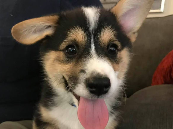 Giving Ourselves a Break