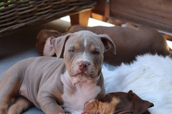 20200730165135_IMG_2495