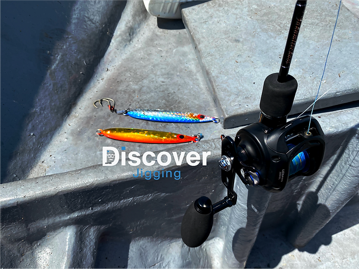 Asset 5.png