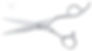 Takano Kimari Scissor 5.5D