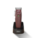 Oster Fast Feed cordless clipper