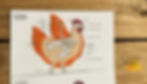 Soins énergétiques aux animaux - Planche pour pendule - POULE Squelette et Organes -
