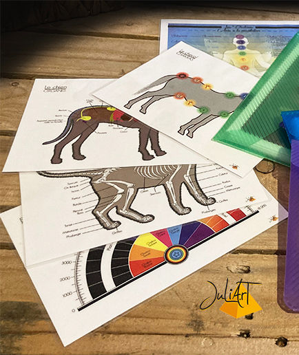 Miniature : Kit LUXE Soins énergétiques Humains et Animaux - Planches pour les animaux