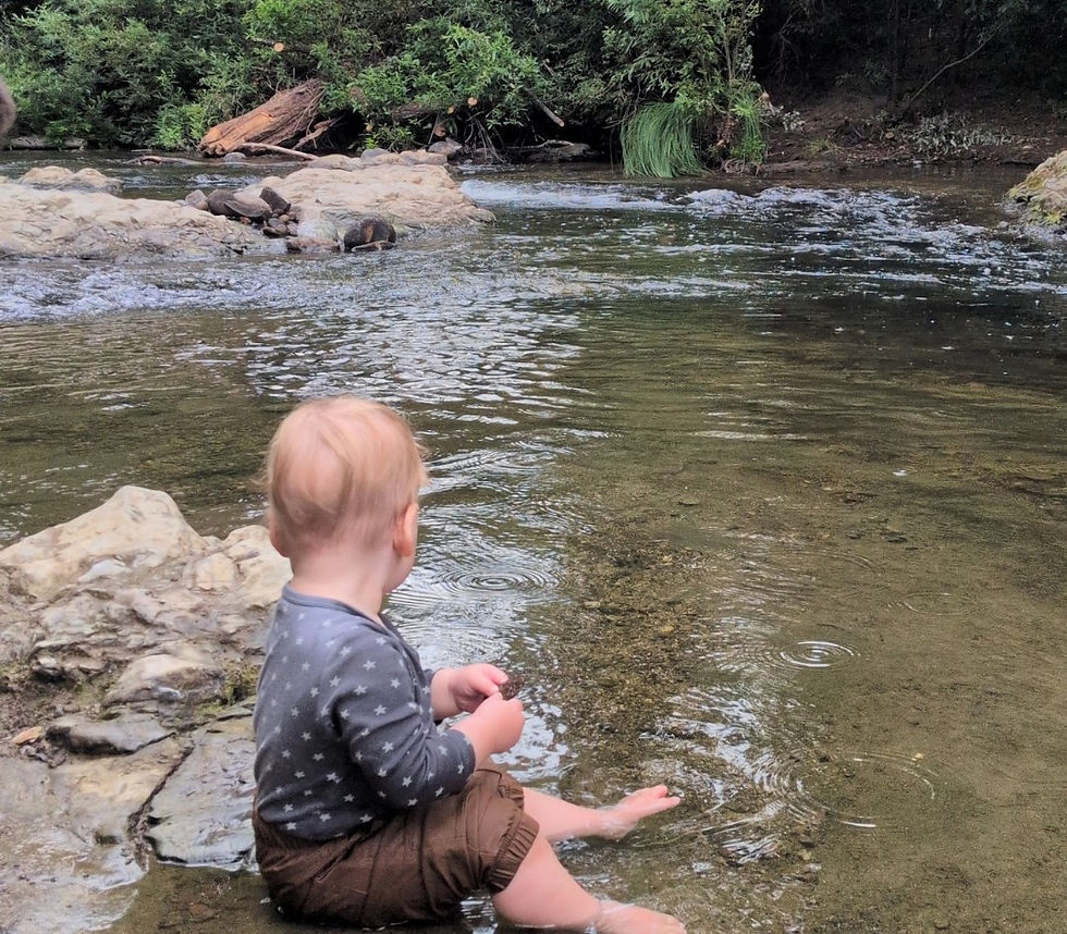 San Jose/Bay Area: Highlands County Park