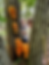 Josepha and Ken Hendry. That's a lot of Chicken of the Woods in their Maine neighborhood