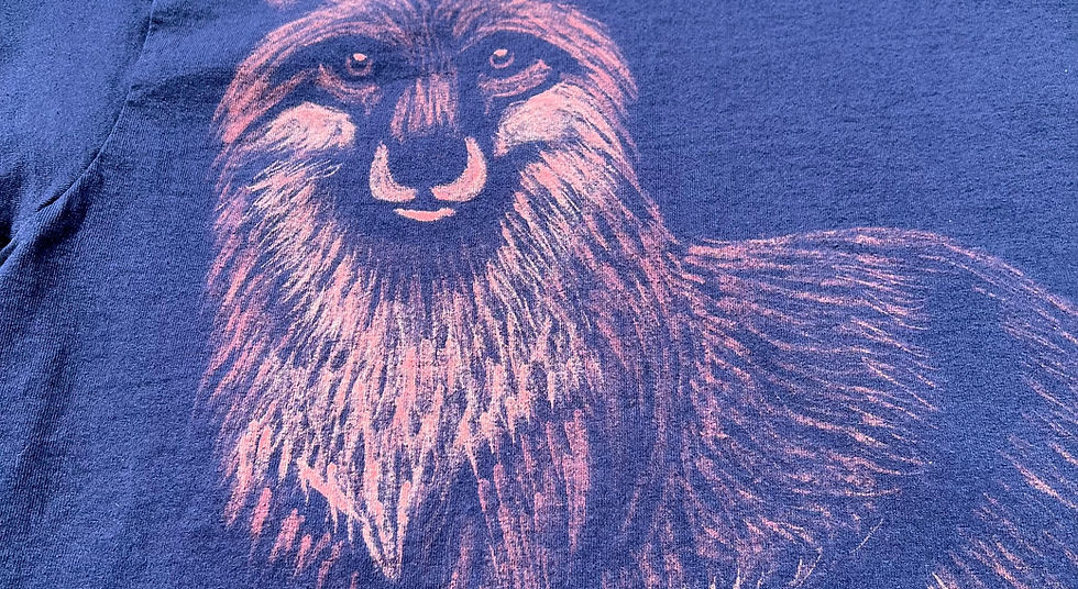 Knowing Fox (L) - detail.jpeg