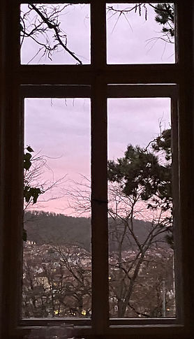 IMG_1004.jpeg