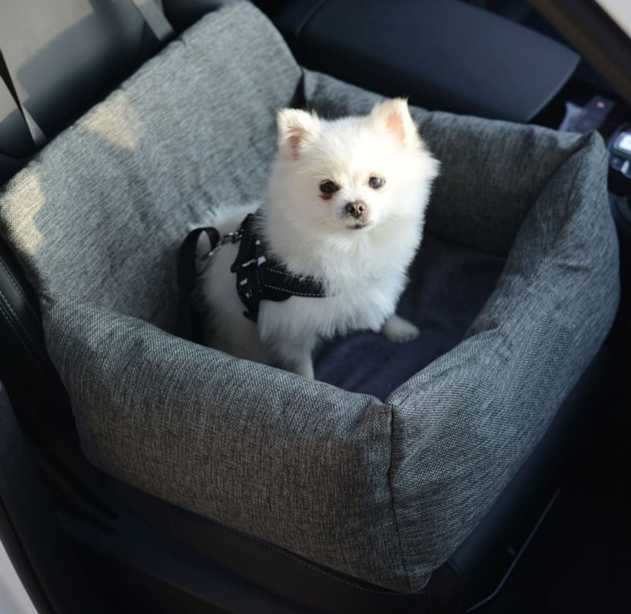 Portable Adjustable Pet Car Safety Seat – Grey