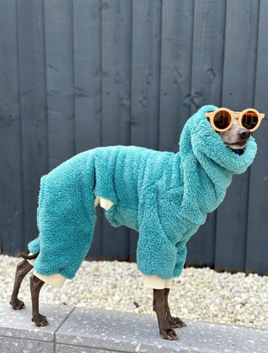 Double Sided, Thickened Coral Fleece Jumpsuit | FurryKidz