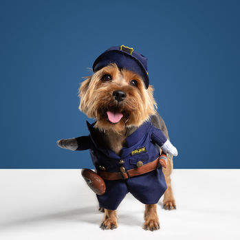 Gênero Policial (Romance Policial)