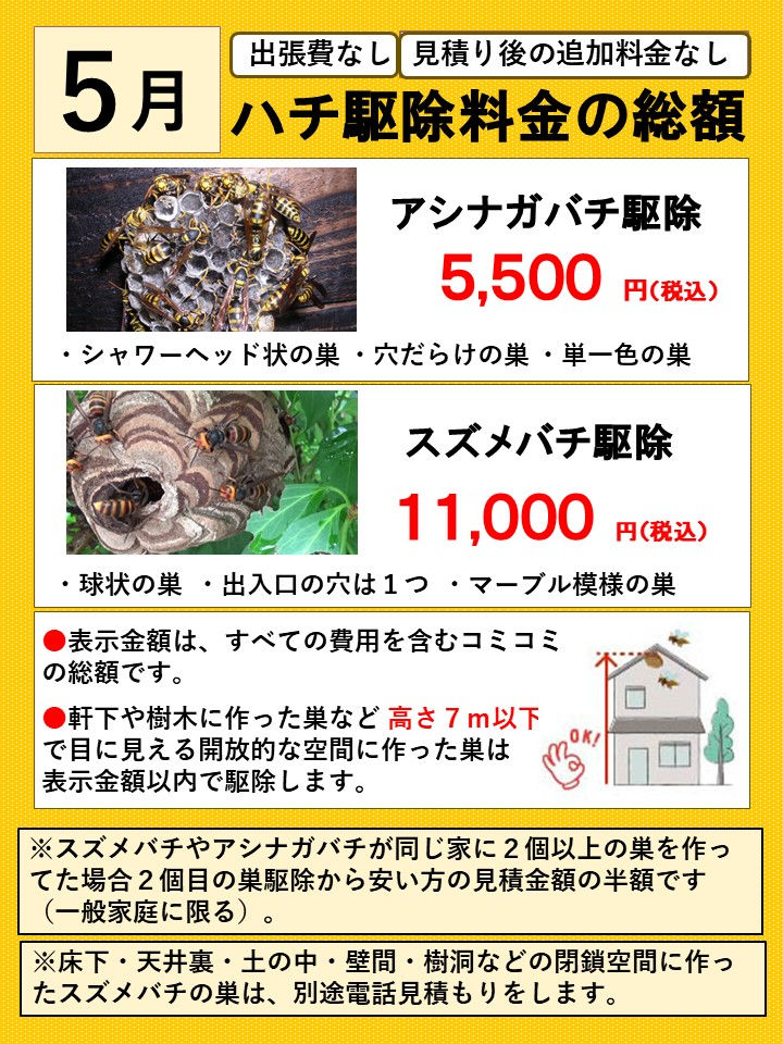 5月のハチ駆除料金表.jpg