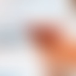 5 cosas para que el curso online funcione