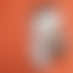 el perfil de instagram