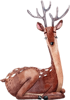 Drawing%20of%20Reindeer_edited.png
