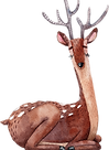 Drawing%20of%20Reindeer_edited.png