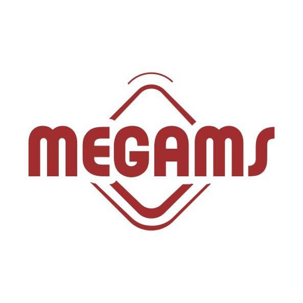megaMS