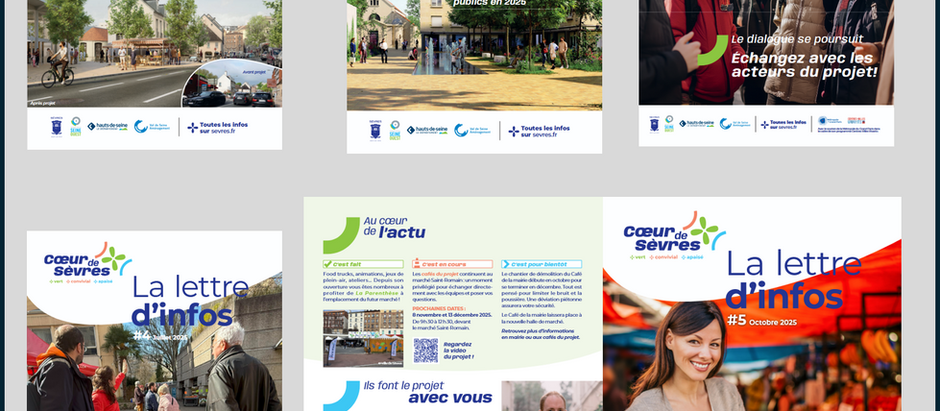La charrue avant les boeufs sur le projet centre-ville !