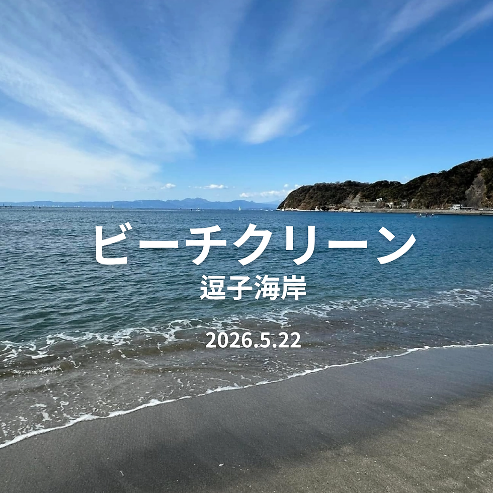 社員全員で逗子海岸ビーチクリーンを実施しました