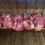 Thumbnail: Pork Rib Ends 30 lbs