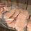 Thumbnail: Chicken Breast Fillets 15 lb