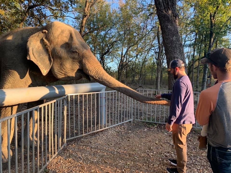 Elephant Cabin Rentals