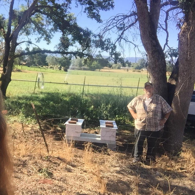 Relocating Bees