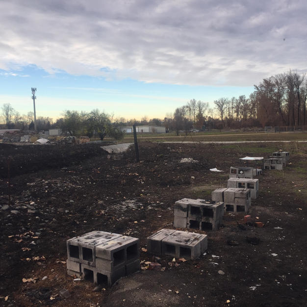 Sad Remains of the Phoenix Apiary