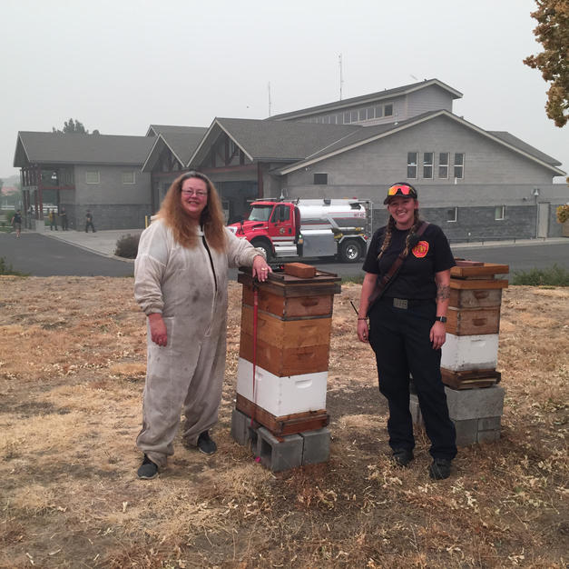 Bees Are Alive at Fire House 5