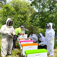 Screen Shot 2023-09-10 at 9.18_edited.jp