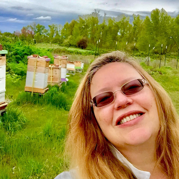 Our Apiary in Phoenix Before the Fire