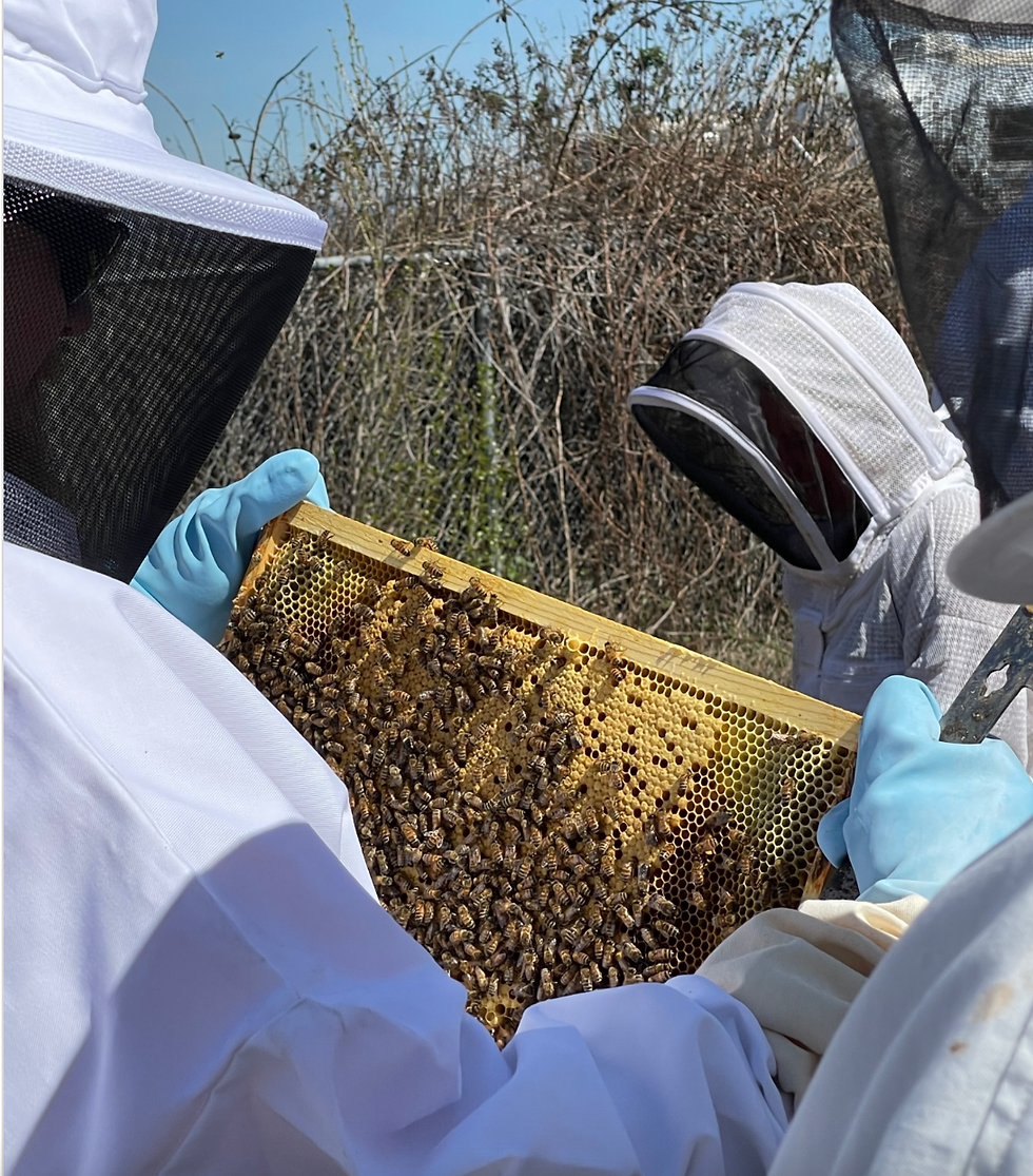 Screen Shot 2023-09-17 at 1.02.58 AM