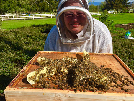 Spring Beekeeping Class at RCC Starts April 4, 2020!