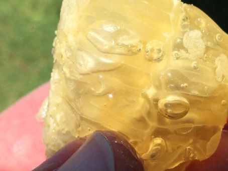 Honey: My Gateway Drug to a Gateway Bug!