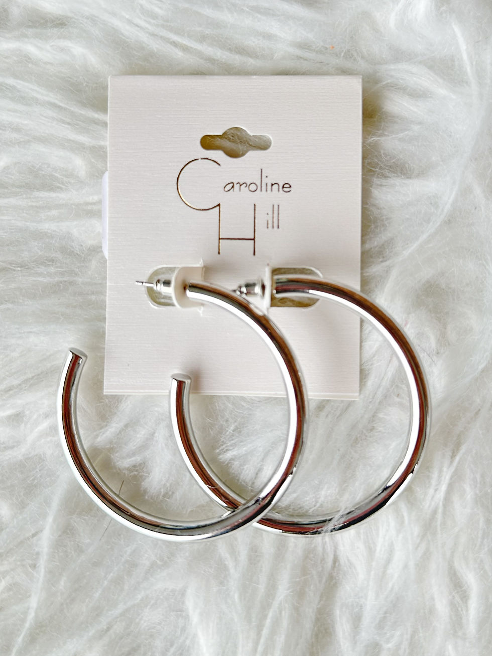 Shiny Silver Hoops