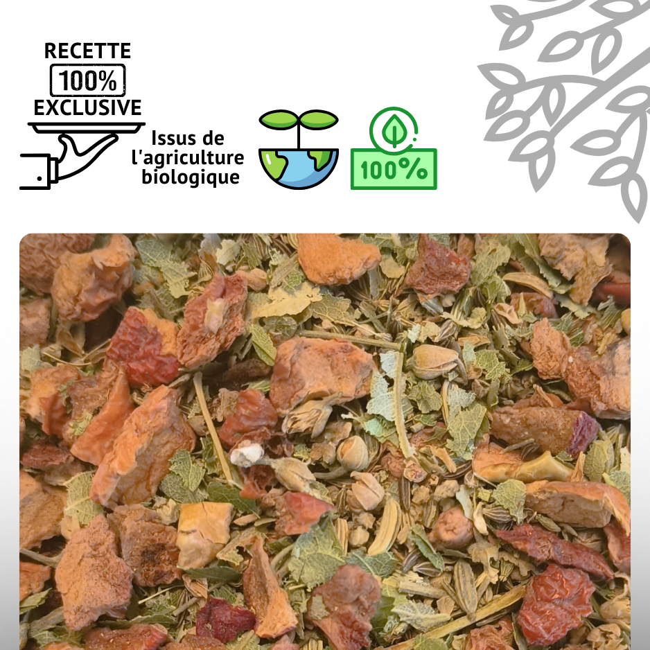 Infusion "tété" (grossesse et allaitement)