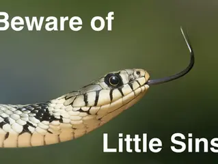 "Little Sins"
