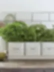 Three herb pots in a steel tray with leather handles
