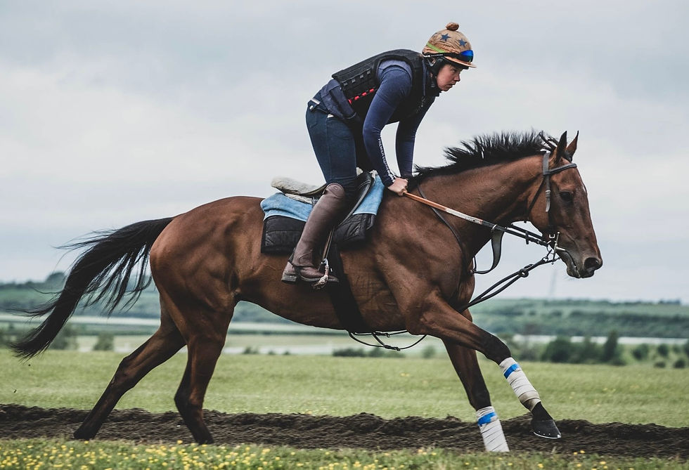 wide landscape photo of a rider on a galloping horse on a track, overcast sky, green fields in the background