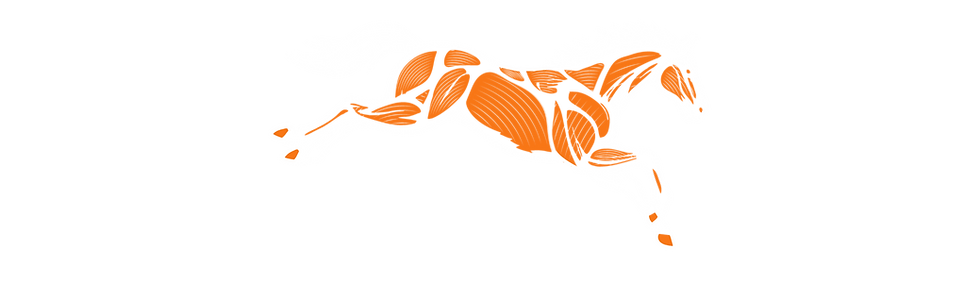 LGEquineLogo(RGB)_edited.png