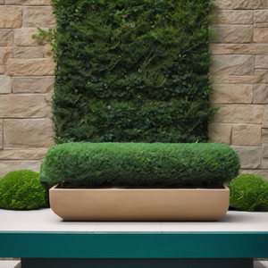 Tailored Garden and Landscape Designs in Tauranga