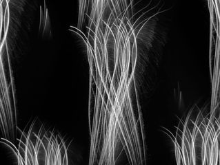 Koukai Series 2012-20