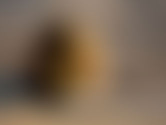 Saipan Series 2009-44